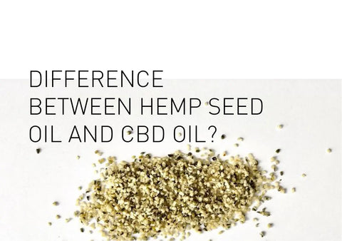 What-is-the-difference-between-Hemp-Seed-Oil-and-CBD-Oil Tonik